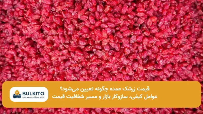 قیمت زرشک عمده چگونه تعیین می‌شود؟ راهنمای جامع عوامل مؤثر و سازوکار بازار